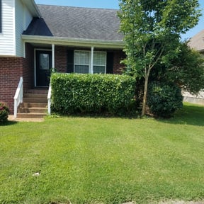 Bush Trimming by S&S Lawn Care reviewed on August 18, 2025
