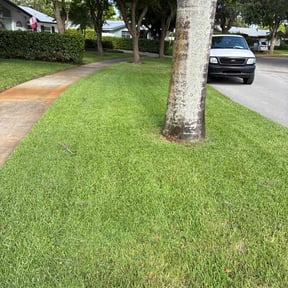 yard service by Kevin Rodgers reviewed on August 21, 2025