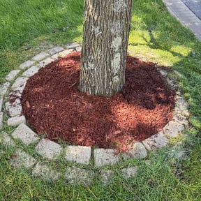 Mulching by The Hughes People Lawn Care reviewed on July 6, 2026