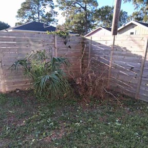 Bush Trimming by KSC Lawn Care LLC reviewed on November 19, 2025