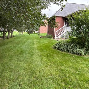 gardening service by Easy Way Services reviewed on August 18, 2025