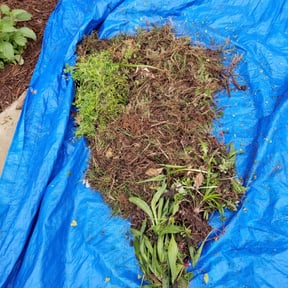 Flower Bed Weeding by Crowder's lawn care reviewed on August 16, 2025