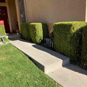 Bush Trimming by Los Hombre Landscaping reviewed on August 17, 2025