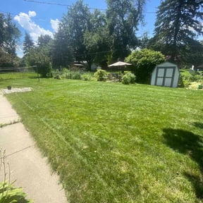 yard maintenance by Bloomington Mow and Snow reviewed on November 23, 2025