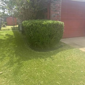 Bush Trimming by Affordable Lawn Care reviewed on October 20, 2025
