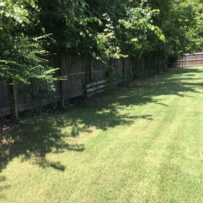 Bush Trimming by Cloverleaf Lawncare reviewed on August 15, 2025