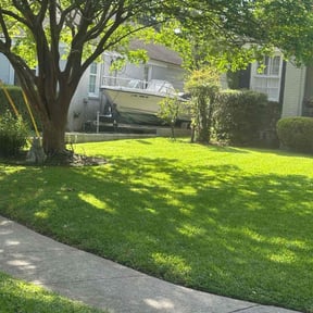 yard work by Mow & Go reviewed on August 18, 2025
