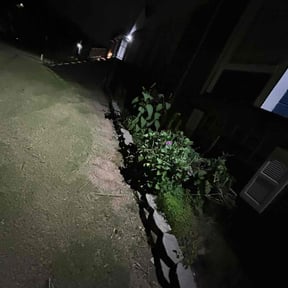 Bush Trimming by To The Rescue Landscaping and Hurricane Clean Up reviewed on August 20, 2025