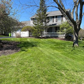 landscaping services by amazing r&r landscaping reviewed on August 21, 2025