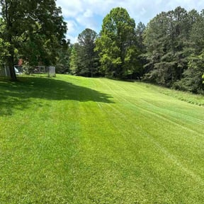 yard care by AT Ease Carpet Cleaning reviewed on August 15, 2025