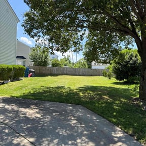 landscaping by Nyasia's landscape reviewed on August 15, 2025