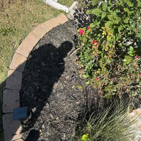 Flower Bed Weeding by D &amp; B Outdoor Services reviewed on November 21, 2025