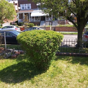 Bush Trimming by Neighborhood lawn care Llc reviewed on August 19, 2025