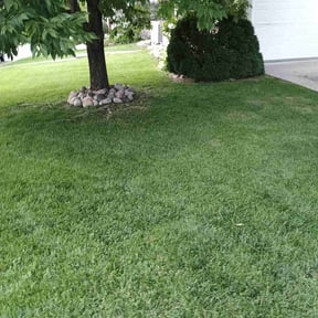 landscaping by MLB detailing LLC reviewed on December 4, 2025