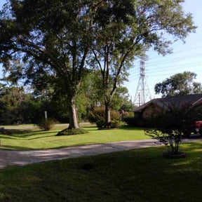 lawn service by Right Time Llc reviewed on March 23, 2024