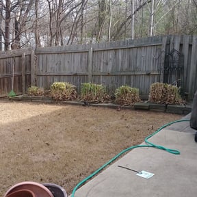 Bush Trimming by J&M Landscaping reviewed on August 15, 2025