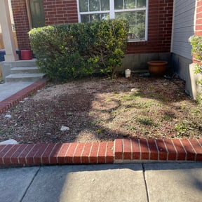 Bush Trimming by Cari lawn care reviewed on August 17, 2025