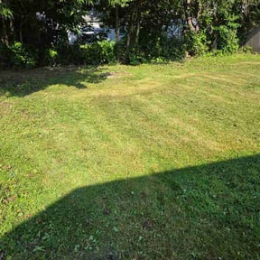 Leaf Removal by Roy Reddick reviewed on July 14, 2026