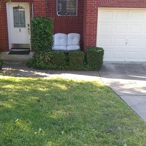 Bush Trimming by G E D Services LLC reviewed on August 17, 2025