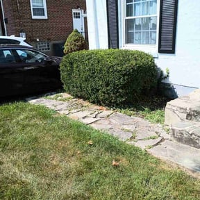 Bush Trimming by Dew Right Lawn Care LLC reviewed on August 21, 2025