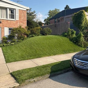 yard service by Salterscapes reviewed on August 19, 2025