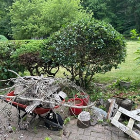 Bush Trimming by TS LAWN CARE LLC reviewed on August 15, 2025