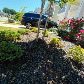 Bush Trimming by Brian The Yard Barber LLC reviewed on August 19, 2025