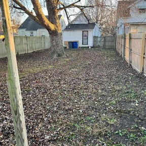 Leaf Removal by Out of the box reviewed on September 30, 2025