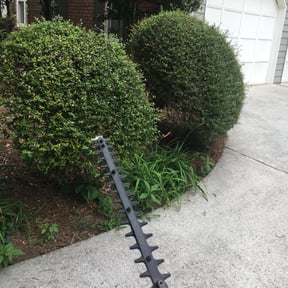 Bush Trimming by On Time Handyman Full Service reviewed on August 20, 2025