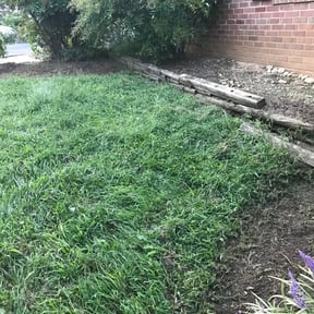 Flower Bed Weeding by Omar Norris reviewed on August 18, 2025