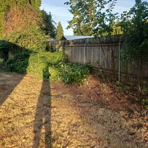 Bush Trimming by Use more services reviewed on August 15, 2025