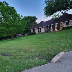 lawn care services by Rare gardens reviewed on July 12, 2022