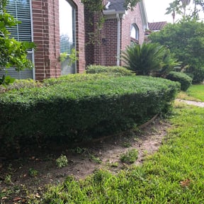 Bush Trimming by D&Ds Landscaping reviewed on August 17, 2025