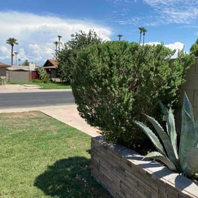 Bush Trimming by Johnson lawn services reviewed on August 15, 2025