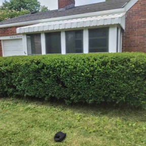 Bush Trimming by Towery's Lawn Care reviewed on August 21, 2025