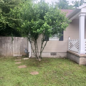 Bush Trimming by Grateful Green Lawn Care reviewed on August 16, 2025