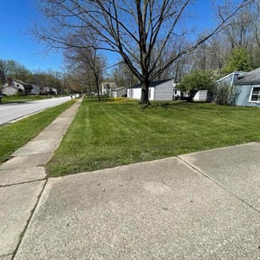 lawn maintenance by A1 Landscape reviewed on August 30, 2024