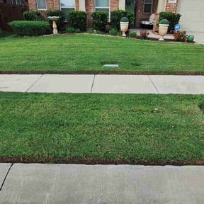 landscaping by Bentons  lawn and house hold care reviewed on August 26, 2023
