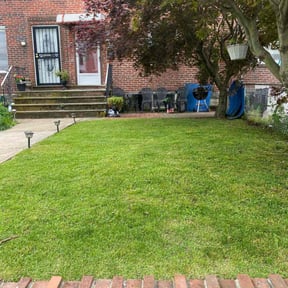 yard work by Handyman Honk reviewed on August 18, 2025