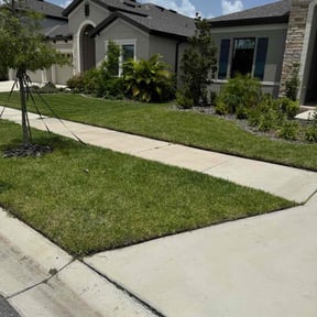 yard care by Blades of Green, LLC reviewed on August 20, 2025
