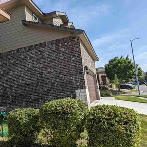 Bush Trimming by My Family Lawn Care reviewed on August 19, 2025