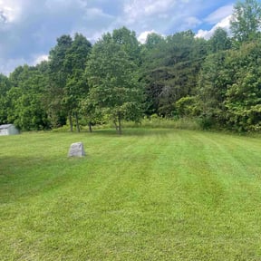 residential landscaping by Cisco's Lawn Amigo reviewed on August 20, 2025