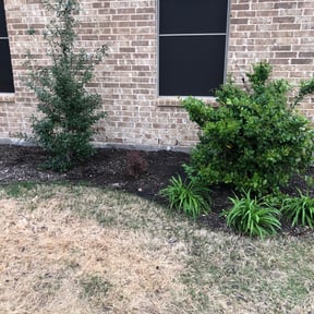 Leaf Removal by Just Lawns LLC reviewed on September 16, 2025