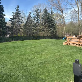 lawn service by M&amp;W Construction reviewed on May 19, 2025