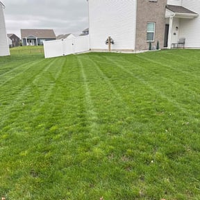 yard work by Azuloutdoorservices@gmail.com reviewed on August 16, 2025