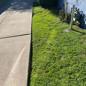 Bush Trimming by Tikitiki Garden Service reviewed on June 30, 2025