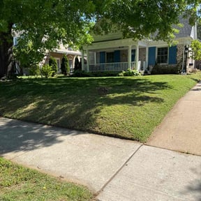 yard maintenance by T&M Lawn Services reviewed on August 21, 2025
