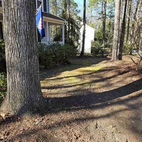 Leaf Removal by Green City Landscaping Co LLC reviewed on August 19, 2025