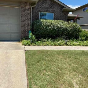 Bush Trimming by Robin Hoods Grass & Landscaping LLC reviewed on August 21, 2025