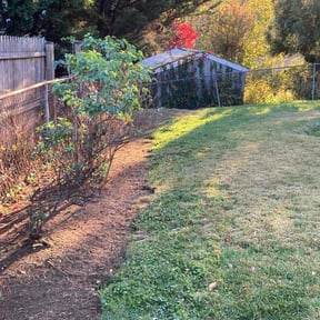 Flower Bed Weeding by Morris Lawncare reviewed on November 26, 2025